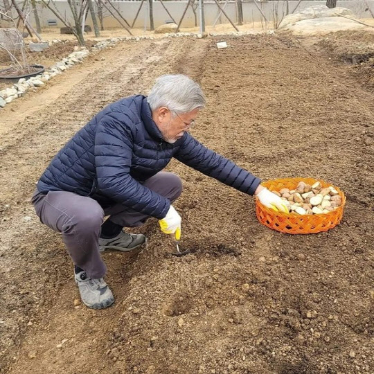 문재인 전 대통령이 자신의 페이스북에 올린 텃밭에 감자를 심는 모습.  [문재인 전 대통령 페이스북 캡처]